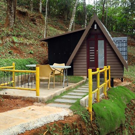 Garden Of Eden-Thottam Munnar-Hiking And Camping Anachal Eksteriør bilde