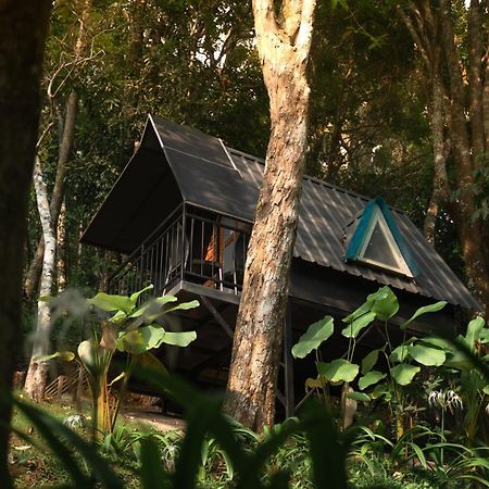 Garden Of Eden-Thottam Munnar-Hiking And Camping Anachal Eksteriør bilde