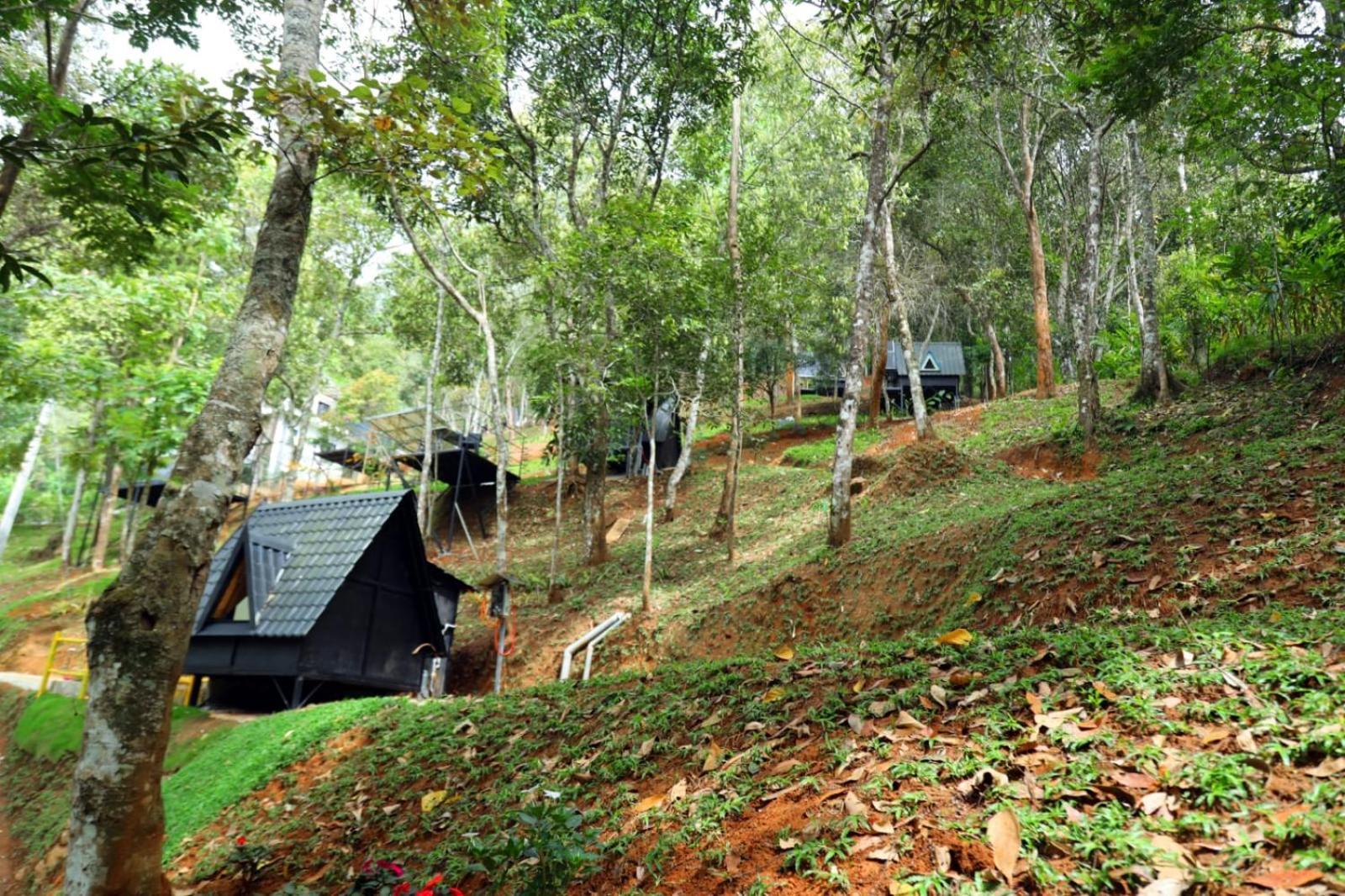 Garden Of Eden-Thottam Munnar-Hiking And Camping Anachal Eksteriør bilde