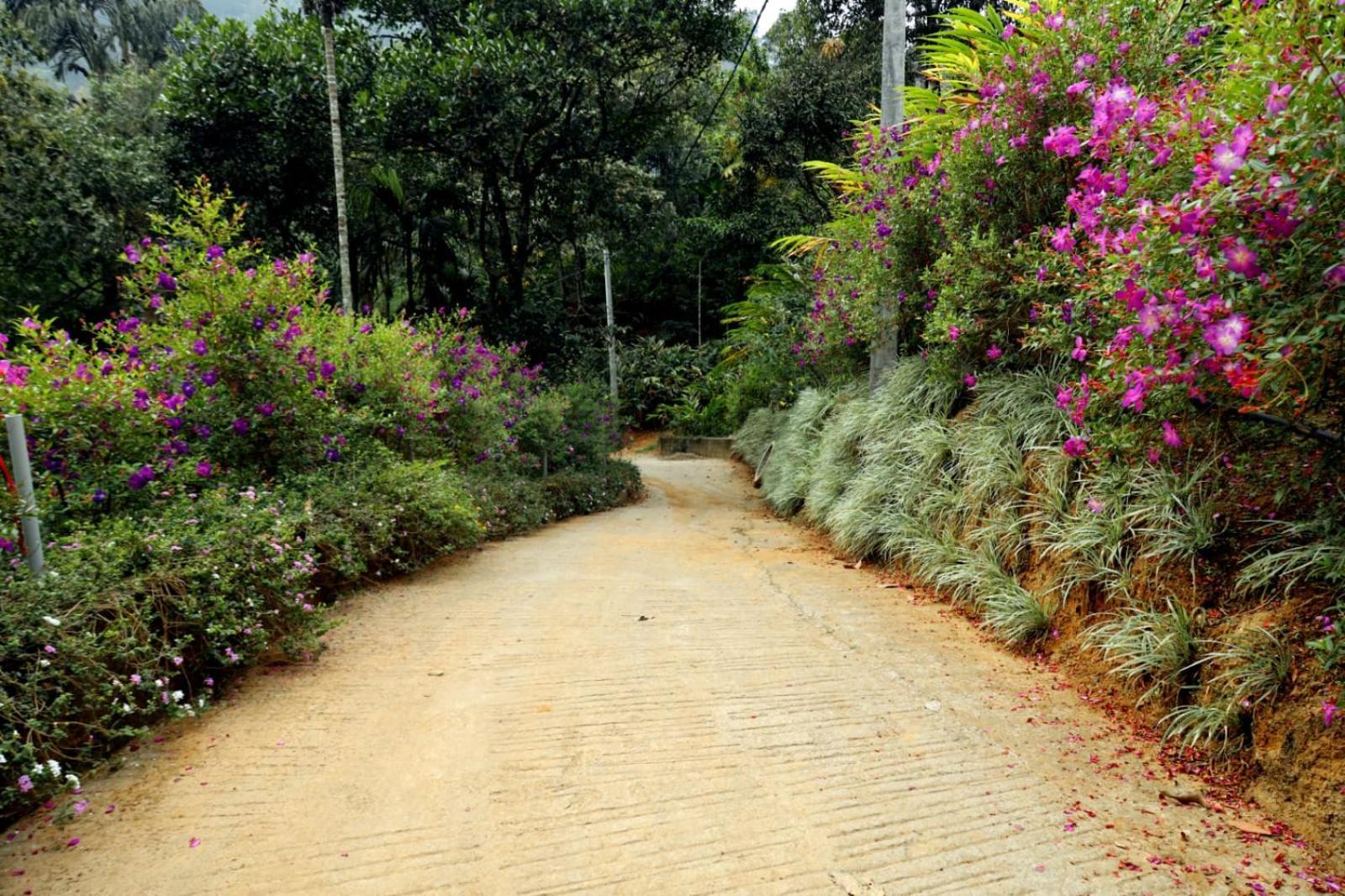 Garden Of Eden-Thottam Munnar-Hiking And Camping Anachal Eksteriør bilde