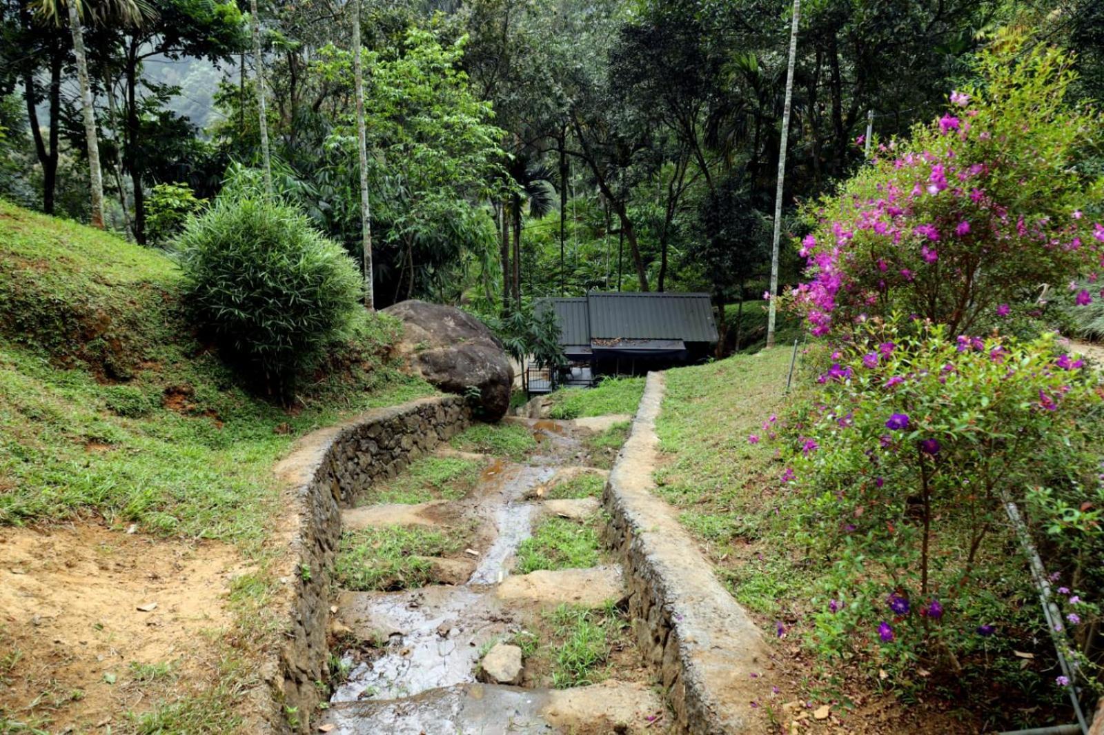 Garden Of Eden-Thottam Munnar-Hiking And Camping Anachal Eksteriør bilde