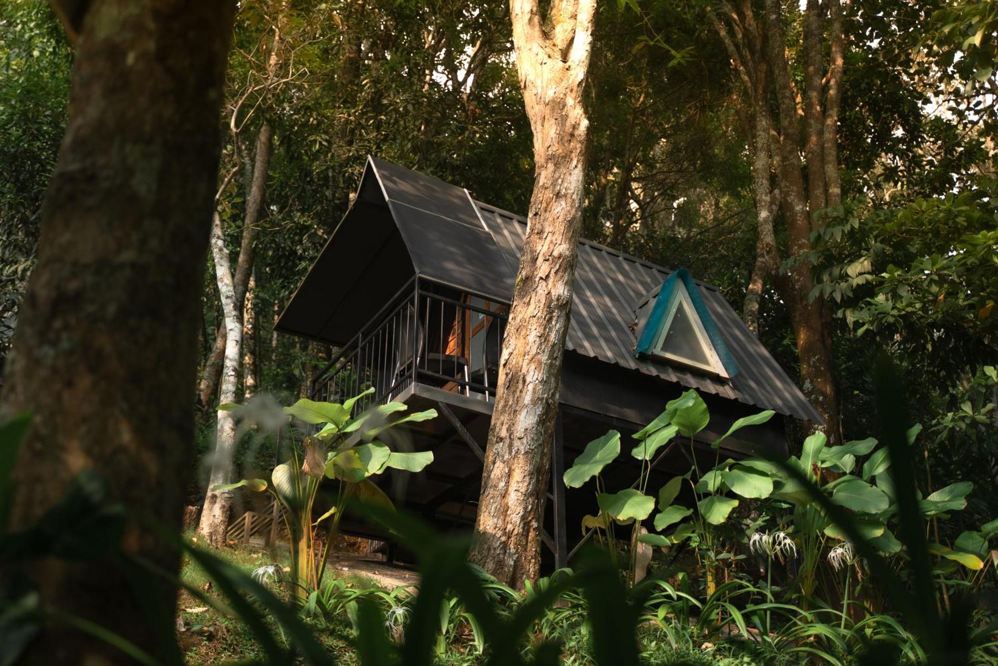 Garden Of Eden-Thottam Munnar-Hiking And Camping Anachal Eksteriør bilde