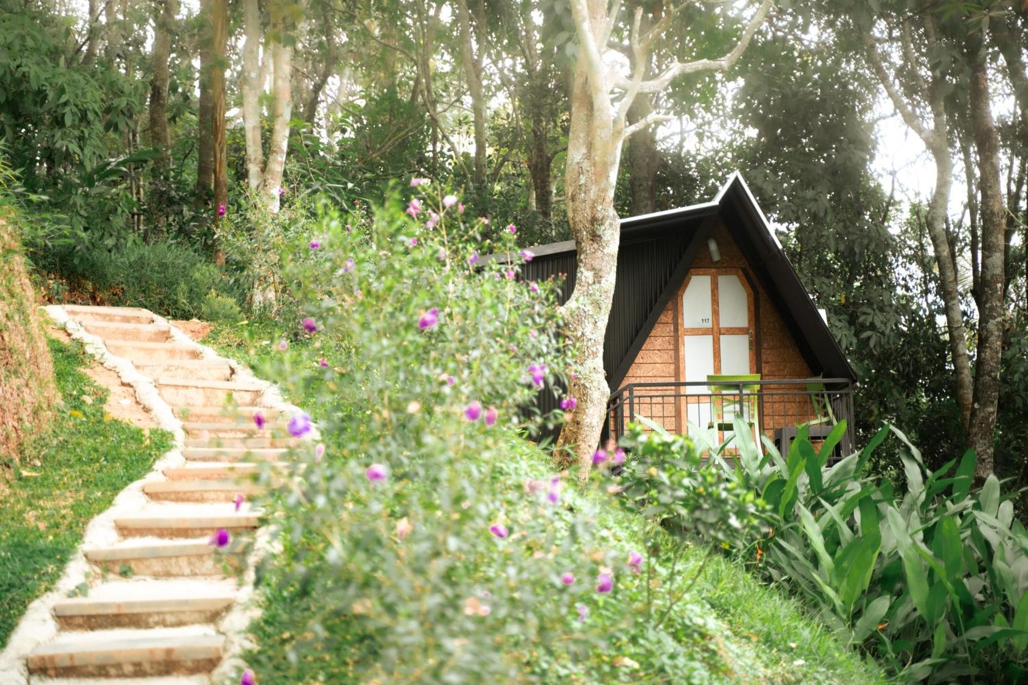 Garden Of Eden-Thottam Munnar-Hiking And Camping Anachal Eksteriør bilde