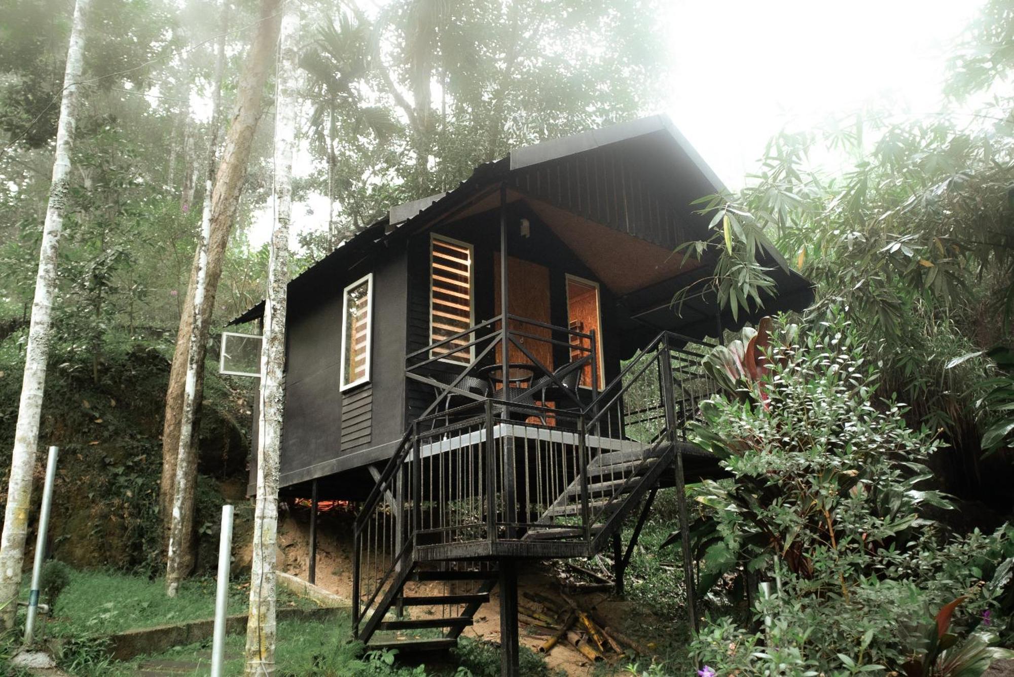 Garden Of Eden-Thottam Munnar-Hiking And Camping Anachal Eksteriør bilde